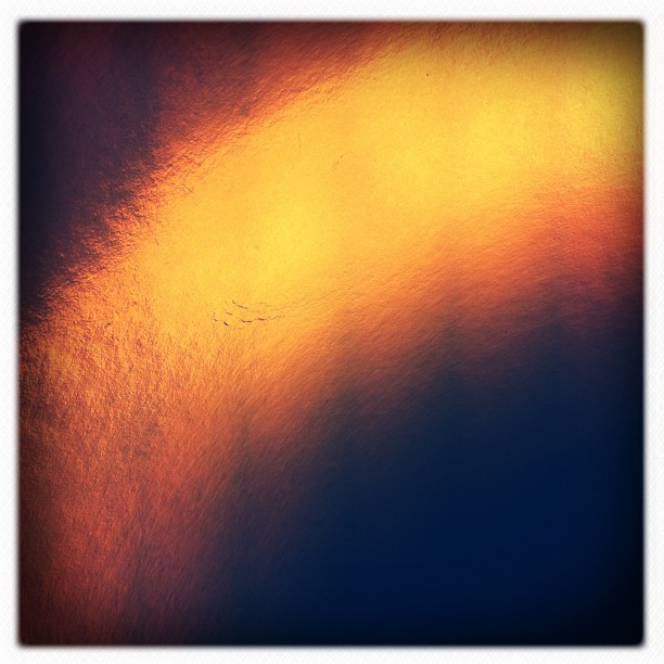 shiny