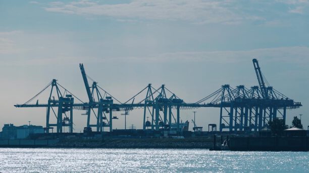 Containerterminal Tollerort (CTT), Hamburg-Steinwerder, August 2021